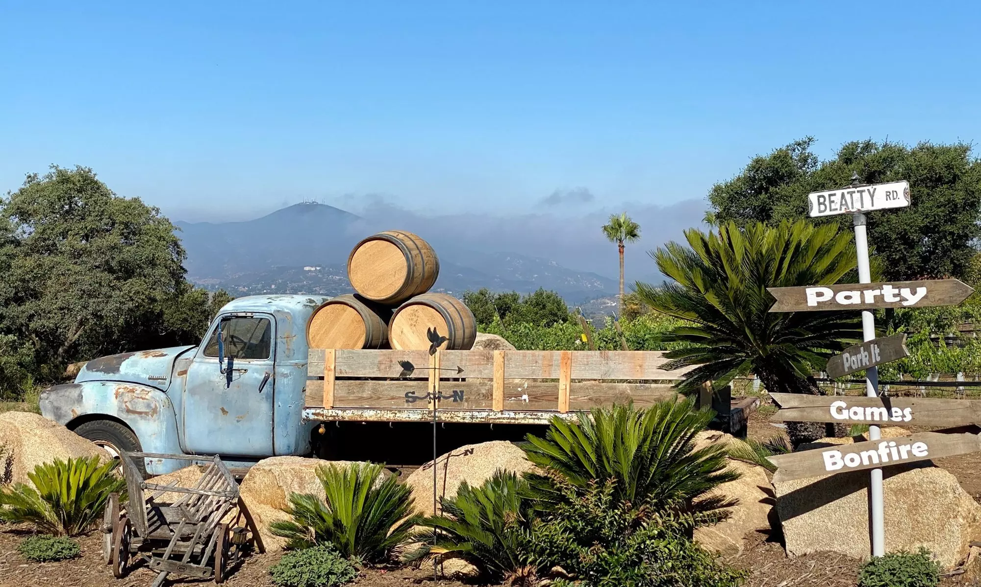 Rustic Ridge Vineyards
