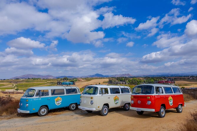 VW Bus Wine Tours Temecula